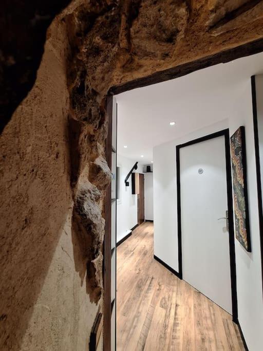Le Perchoir De L'Empereur Apartment Orléans Exterior foto